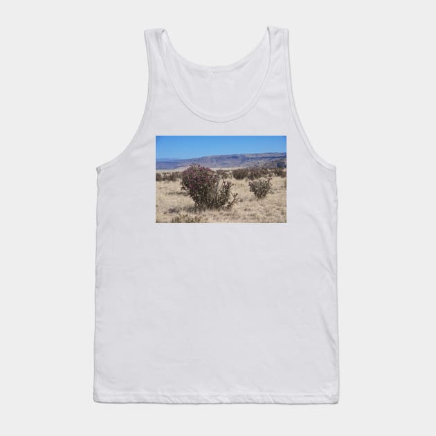 850_8543 Tank Top by wgcosby